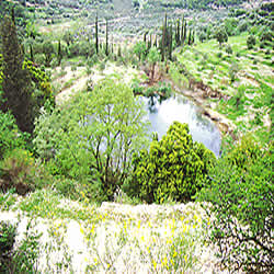 green lagoon