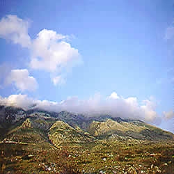 mountain top 