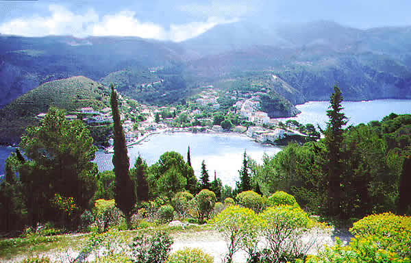 the island has quite a bit of foilage