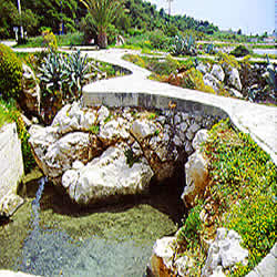 path