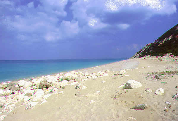 beach on the island