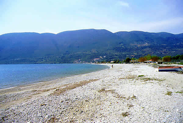 beautiful pebble beach