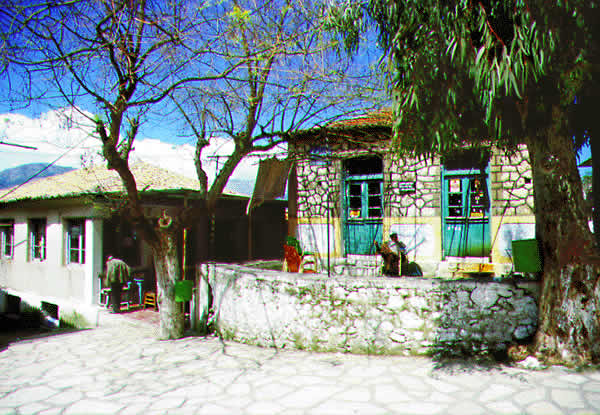 village street and garden