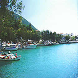 boats