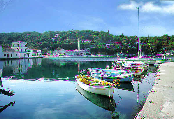 harbor with boats