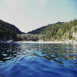 shore