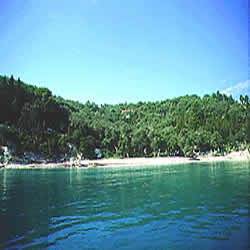 shore