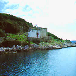 shore