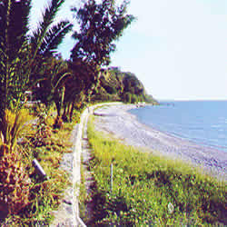 beach thin narrow