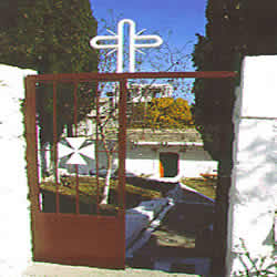 neon cross
