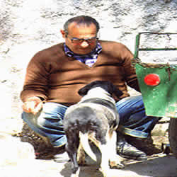 man and his dog