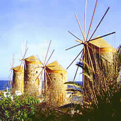 windmills