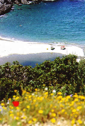 the shore/ beach