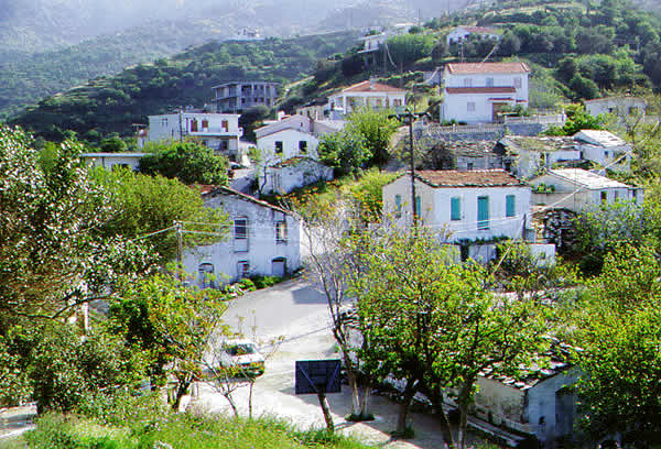 the village