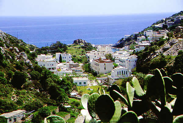 houses above the port