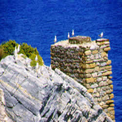 tower