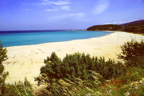 nice beach