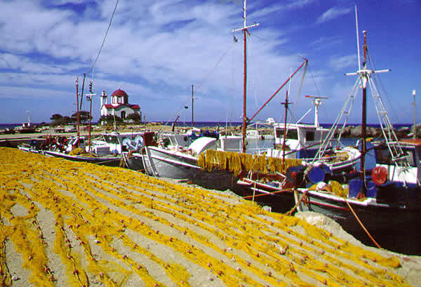 fishing stuff