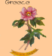 a rose by any other name is rodia