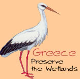 Greek wetlands