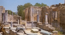 phedian workshop
