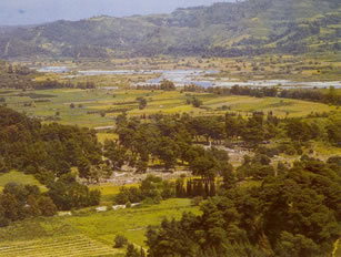 the Olympian plain